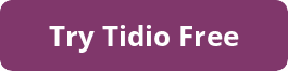 Tidio review