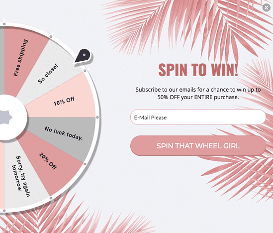 Privy Review - Spin to Win