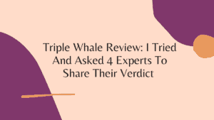 Triple Whale Review
