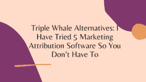 Triple Whale Alternatives