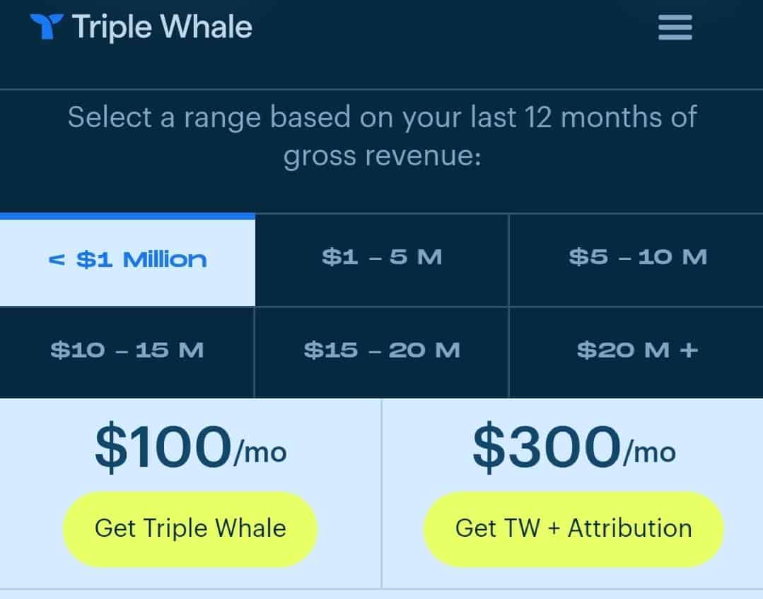 Triple Whale pricing