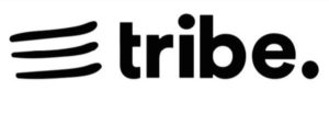 Slack Community Alternatives: Tribe.so