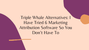 Triple Whale alternatives